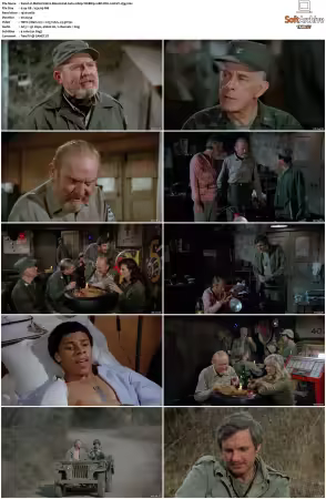 M.A.S.H S10 1080p WEBRip 10Bit DD2 0 HEVC-d3g