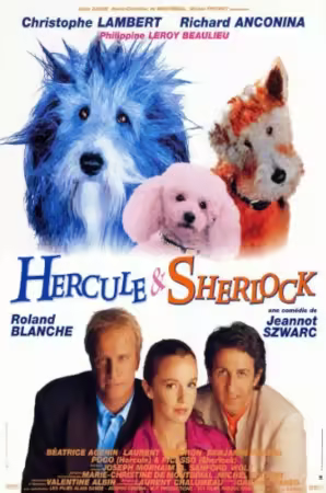 Hercule et Sherlock 1996 FRENCH 1080p HDTV H264-FW