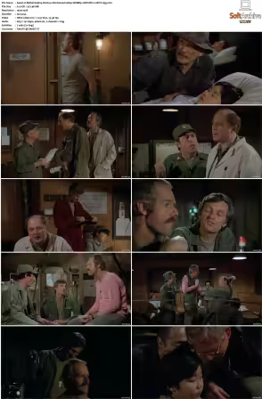 M.A.S.H S09 1080p WEBRip 10Bit DD2.0 HEVC-d3g