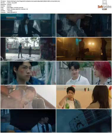 Shining For One Thing S01 1080p AMZN WEB-DL DDP2.0 H264-WADU