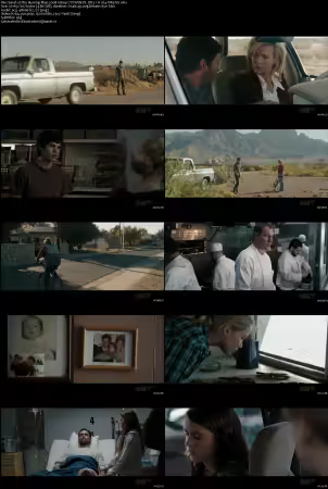 The Burning Plain 2008 1080p CTV WEB-DL DD 5.1 H264-PiRaTeS