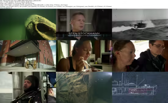 Nazi Sunken Sub 2012 1080p WEB H264-SHIIIT