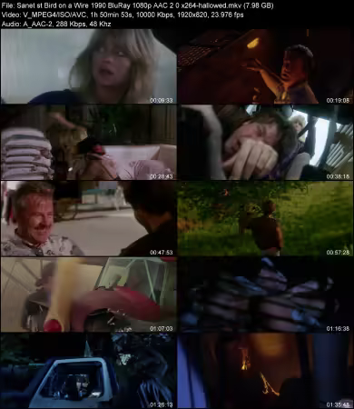 Bird on a Wire 1990 BluRay 1080p AAC 2.0 x264-hallowed