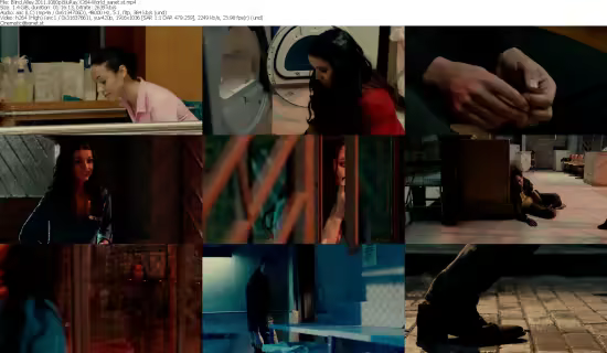 Blind Alley 2011 1080p BluRay X264-World