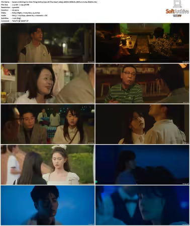 Shining For One Thing S01 1080p AMZN WEB-DL DDP2.0 H264-WADU