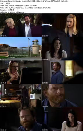 Criminal Minds 2005 S05E08 1080p DSNP Webrip DDP5 1 x265-Vialle