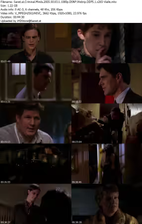 Criminal Minds 2005 S01E11 1080p DSNP Webrip DDP5 1 x265-Vialle