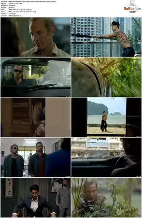 Strike Back S05 1080p BluRay 10Bit DDP5.1 HEVC-d3g