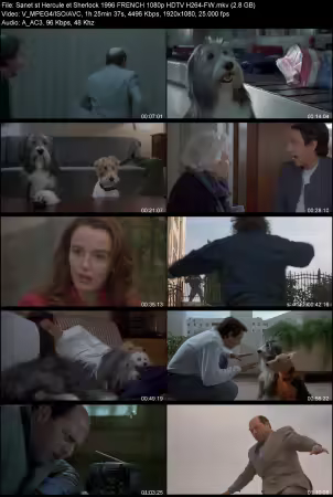 Hercule et Sherlock 1996 FRENCH 1080p HDTV H264-FW