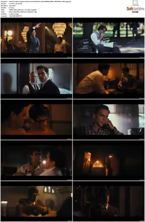 Fellow Travelers S01 1080p WEBRip HDR10 10Bit DDP5.1 HEVC-d3g