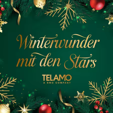 VA - Winterwunder mit den Stars (2025) Mp3 / Flac / Hi-Res