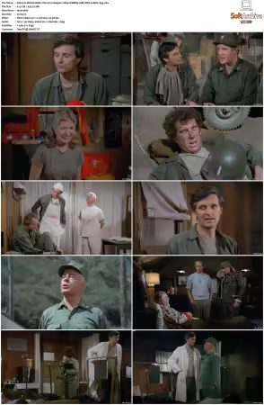 M.A.S.H. S01-S11 1080p WEBRip 10Bit DD2.0 HEVC-d3g