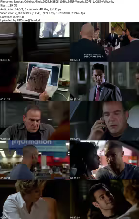 Criminal Minds 2005 S02E08 1080p DSNP Webrip DDP5 1 x265-Vialle