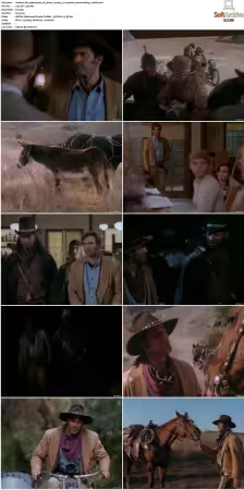 The Adventures Of Brisco County Jr. S01 DVDRip XviD-FoV