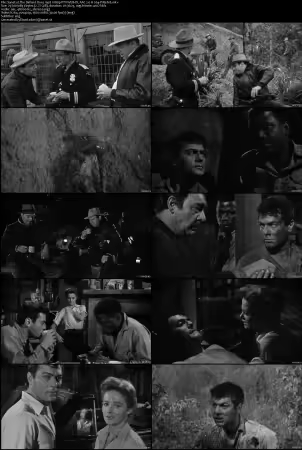 The Defiant Ones 1958 1080p PTV WEB-DL AAC 2.0 H264-PiRaTeS