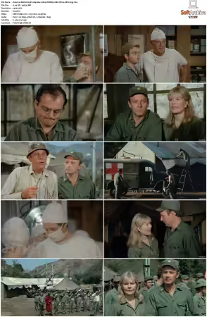 M.A.S.H. S01-S11 1080p WEBRip 10Bit DD2.0 HEVC-d3g