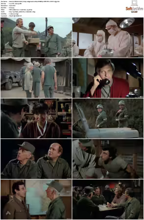 M.A.S.H S10 1080p WEBRip 10Bit DD2 0 HEVC-d3g