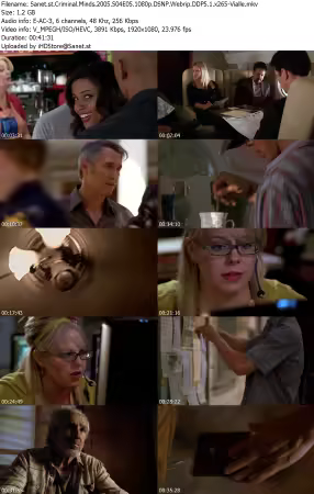 Criminal Minds 2005 S04E05 1080p DSNP Webrip DDP5 1 x265-Vialle