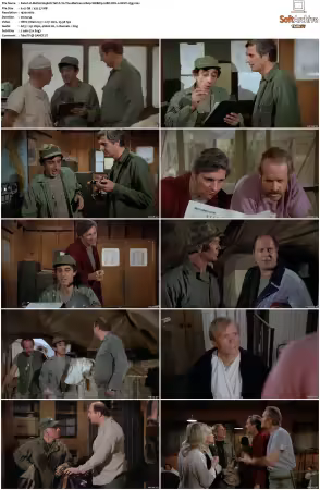 M.A.S.H. S01-S11 1080p WEBRip 10Bit DD2.0 HEVC-d3g