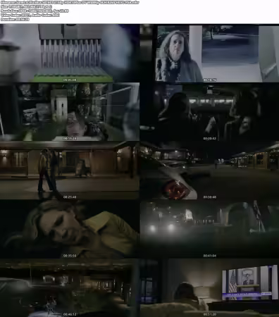 Pluribus S01E01 2160p HDR10Plus DV WEBRip 6CH x265 HEVC-PSA