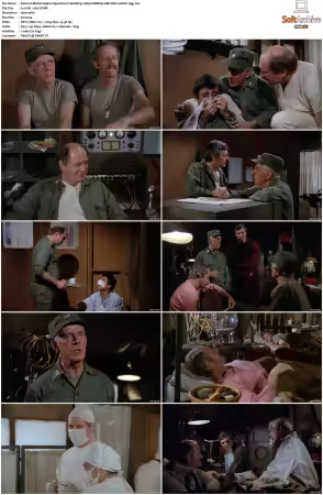 M.A.S.H. S01-S11 1080p WEBRip 10Bit DD2.0 HEVC-d3g