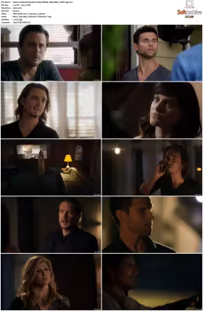 Nashville S04 1080p WEBRip 10Bit DDP5.1 HEVC-d3g