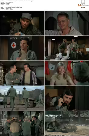 M.A.S.H. S01-S11 1080p WEBRip 10Bit DD2.0 HEVC-d3g