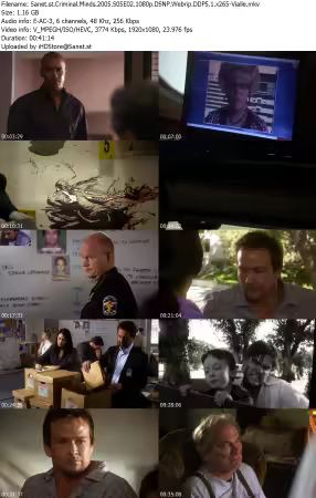 Criminal Minds 2005 S05E02 1080p DSNP Webrip DDP5 1 x265-Vialle