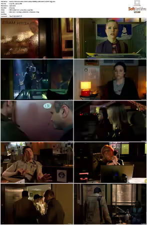 Veronica Mars S01 S04 1080p WEBRip 10Bit AAC2.0 HEVC-d3g