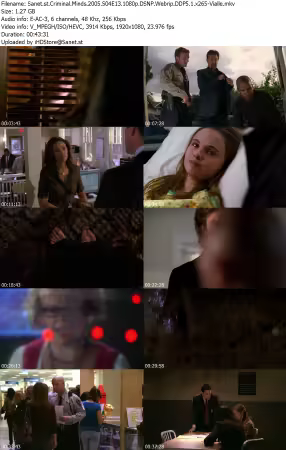 Criminal Minds 2005 S04E13 1080p DSNP Webrip DDP5 1 x265-Vialle
