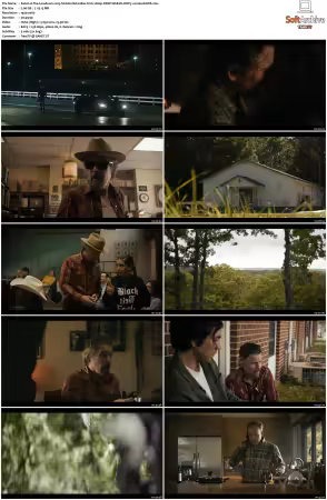 The Lowdown 2025 S01 1080p DSNP WEB-DL DDP5.1 H264-RAWR