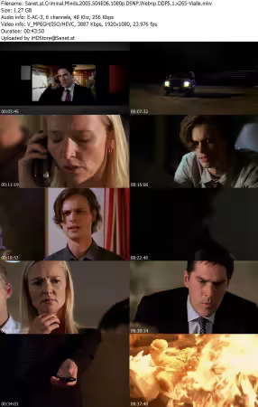 Criminal Minds 2005 S04E06 1080p DSNP Webrip DDP5 1 x265-Vialle