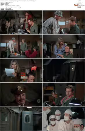 MASH S01 S11 1080p WEBRip 10Bit DD2.0 HEVC-d3g