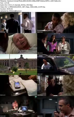 Criminal Minds 2005 S01E03 1080p DSNP Webrip DDP5 1 x265-Vialle
