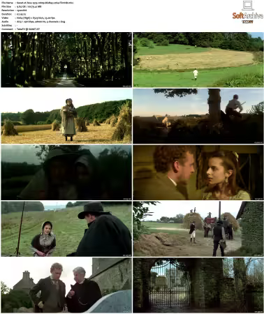 Tess 1979 1080p BluRay x264-FilmHD