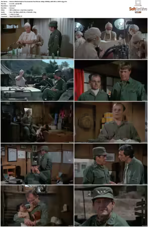 M.A.S.H. S01-S11 1080p WEBRip 10Bit DD2.0 HEVC-d3g
