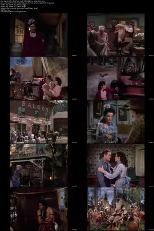 The Paleface 1948 1080p BluRay x264-nikt0