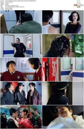 Fight Back to School 3 1993 BluRay 1080p x265 10bit 2Audio MNHD-FRDS