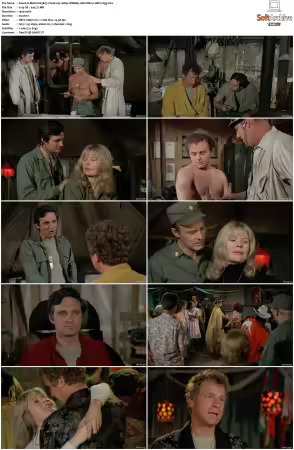 M.A.S.H. S01-S11 1080p WEBRip 10Bit DD2.0 HEVC-d3g