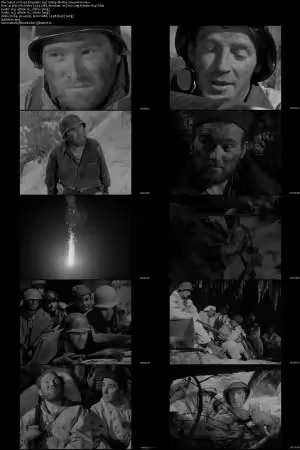 Fixed Bayonets 1951 1080p BluRay x264-nikt0