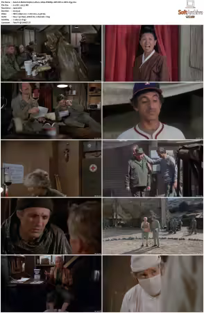 M.A.S.H. S01-S11 1080p WEBRip 10Bit DD2.0 HEVC-d3g
