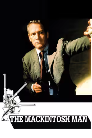The MacKintosh Man 1973 1080p WEB-DL X265-GoZeR