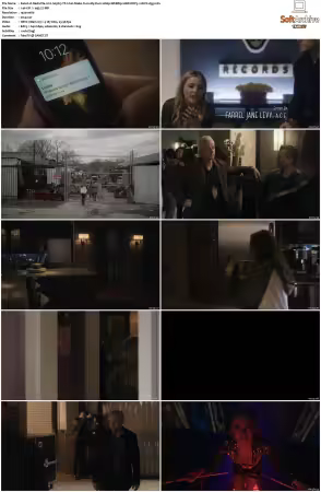 Nashville S05 1080p WEBRip 10Bit DDP5.1 HEVC-d3g