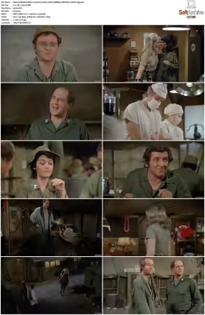 M.A.S.H. S01-S11 1080p WEBRip 10Bit DD2.0 HEVC-d3g