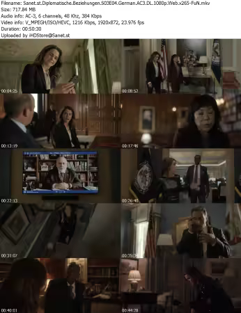 Diplomatische Beziehungen S03E04 German AC3 DL 1080p Web x265-FuN