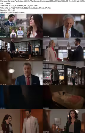 Family Law S02E05 Fifty Shades of Judginess 1080p AMZN WEB-DL DD+5 1 H 264-playWEB