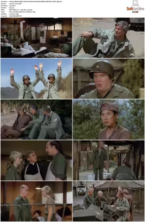 M.A.S.H. S01-S11 1080p WEBRip 10Bit DD2.0 HEVC-d3g