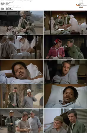 M.A.S.H. S01-S11 1080p WEBRip 10Bit DD2.0 HEVC-d3g