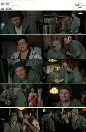 M.A.S.H. S01-S11 1080p WEBRip 10Bit DD2.0 HEVC-d3g