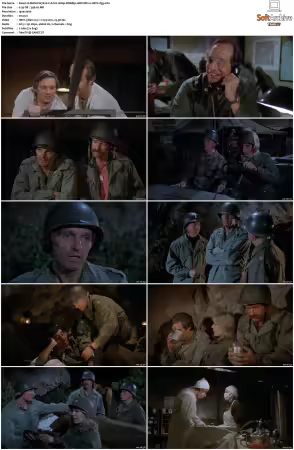 M.A.S.H. S01-S11 1080p WEBRip 10Bit DD2.0 HEVC-d3g